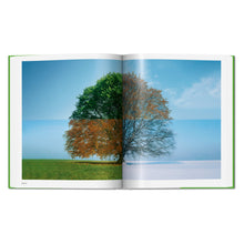 Load image into Gallery viewer, Norman Foster. Networks (English)