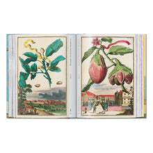Load image into Gallery viewer, J. C. Volkamer. The Book of Citrus Fruits. 45th Ed. (German, French, English)