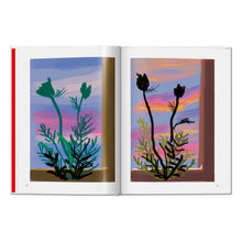 Load image into Gallery viewer, David Hockney. My Window (English)