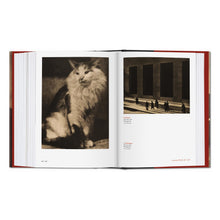 Load image into Gallery viewer, Alfred Stieglitz. Camera Work (German, French, English)
