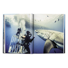 Load image into Gallery viewer, Michael Muller. Sharks (English)