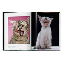 Load image into Gallery viewer, Walter Chandoha. Cats. Photographs 1942–2018 (English)