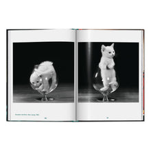 Load image into Gallery viewer, Walter Chandoha. Cats. Photographs 1942–2018 (English)