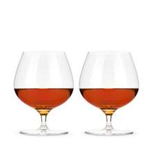 Load image into Gallery viewer, Raye Crystal Wingback Brandy Glasses Set of 2
