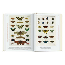 Load image into Gallery viewer, Seba. Cabinet of Natural Curiosities. 45th Ed. (German, French, English)