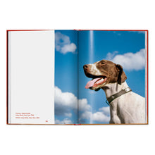 Load image into Gallery viewer, Walter Chandoha. Dogs. Photographs 1941–1991 (English)