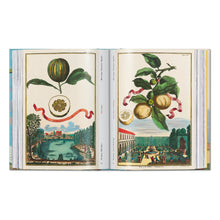 Load image into Gallery viewer, J. C. Volkamer. The Book of Citrus Fruits. 45th Ed. (German, French, English)