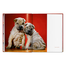 Load image into Gallery viewer, Walter Chandoha. Dogs. Photographs 1941–1991 (German, French, English)