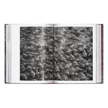 Load image into Gallery viewer, Sebastião Salgado. Genesis. 45th Ed. (English)
