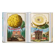 Load image into Gallery viewer, J. C. Volkamer. The Book of Citrus Fruits. 45th Ed. (German, French, English)
