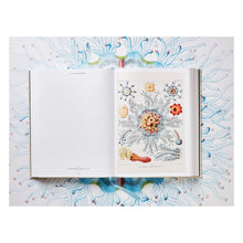 Load image into Gallery viewer, The Art and Science of Ernst Haeckel (German, French, English)
