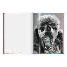 Load image into Gallery viewer, Walter Chandoha. Dogs. Photographs 1941–1991 (English)
