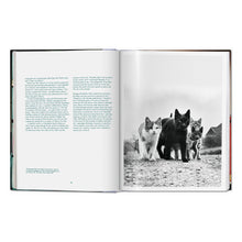 Load image into Gallery viewer, Walter Chandoha. Cats. Photographs 1942–2018 (German, French, English)
