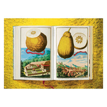 Load image into Gallery viewer, J. C. Volkamer. The Book of Citrus Fruits (German, French, English)
