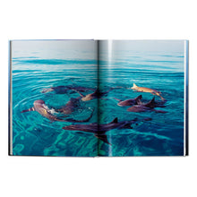 Load image into Gallery viewer, Michael Muller. Sharks (English)
