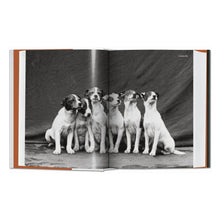 Load image into Gallery viewer, The Dog in Photography 1839–Today (German, French, English)
