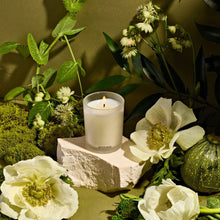 Load image into Gallery viewer, Verdant Garden Votive Candle
