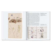 Load image into Gallery viewer, Hilma af Klint (English)

