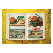 Load image into Gallery viewer, J. C. Volkamer. The Book of Citrus Fruits (German, French, English)
