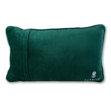 Load image into Gallery viewer, Caviar and Cash Needlepoint Pillow
