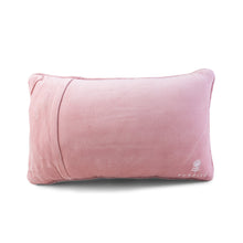 Load image into Gallery viewer, Not For Everyone Needlepoint Pillow
