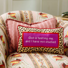 Load image into Gallery viewer, God Testing Me Needlepoint Pillow
