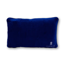 Load image into Gallery viewer, Eyes Resting Needlepoint Pillow
