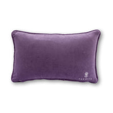 Load image into Gallery viewer, Fun in Dysfunctional Needlepoint Pillow
