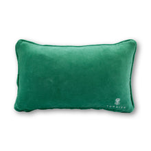 Load image into Gallery viewer, Hot Mess Needlepoint Pillow
