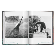 Load image into Gallery viewer, Walter Chandoha. Cats. Photographs 1942–2018 (English)
