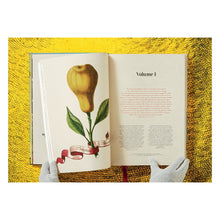 Load image into Gallery viewer, J. C. Volkamer. The Book of Citrus Fruits (German, French, English)
