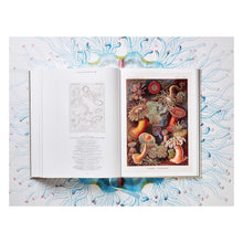 Load image into Gallery viewer, The Art and Science of Ernst Haeckel (German, French, English)
