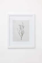 Load image into Gallery viewer, Enid Wall Art
