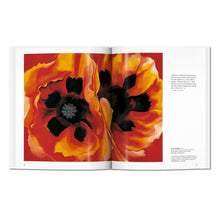 Load image into Gallery viewer, O'Keeffe (English)
