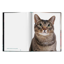 Load image into Gallery viewer, Walter Chandoha. Cats. Photographs 1942–2018 (English)
