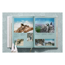 Load image into Gallery viewer, The Alps 1900. A Portrait in Color (German, French, English)
