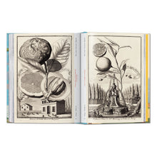 Load image into Gallery viewer, J. C. Volkamer. The Book of Citrus Fruits. 45th Ed. (German, French, English)
