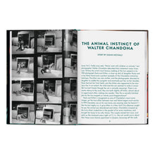 Load image into Gallery viewer, Walter Chandoha. Cats. Photographs 1942–2018 (English)
