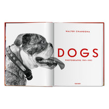 Load image into Gallery viewer, Walter Chandoha. Dogs. Photographs 1941–1991 (German, French, English)
