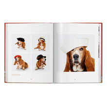 Load image into Gallery viewer, Walter Chandoha. Dogs. Photographs 1941–1991 (German, French, English)
