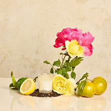 Load image into Gallery viewer, Earl Grey Bitters Votive Candle
