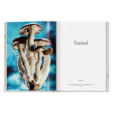 Load image into Gallery viewer, The Gourmand's Mushroom. A Collection of Stories and Recipes (English)
