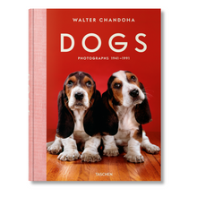 Load image into Gallery viewer, Walter Chandoha. Dogs. Photographs 1941–1991 (German, French, English)
