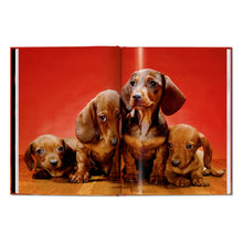 Load image into Gallery viewer, Walter Chandoha. Dogs. Photographs 1941–1991 (English)
