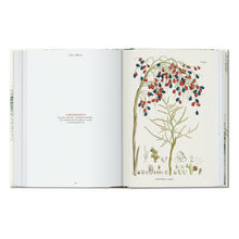 Load image into Gallery viewer, Martius. The Book of Palms. 45th Ed. (German, French, English)
