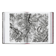 Load image into Gallery viewer, Sebastião Salgado. Genesis. 45th Ed. (English)
