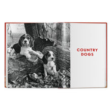 Load image into Gallery viewer, Walter Chandoha. Dogs. Photographs 1941–1991 (German, French, English)

