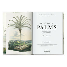 Load image into Gallery viewer, Martius. The Book of Palms. 45th Ed. (German, French, English)
