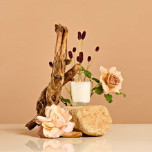 Load image into Gallery viewer, Santal Rock Rose Votive Candle
