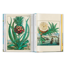Load image into Gallery viewer, J. C. Volkamer. The Book of Citrus Fruits. 45th Ed. (German, French, English)
